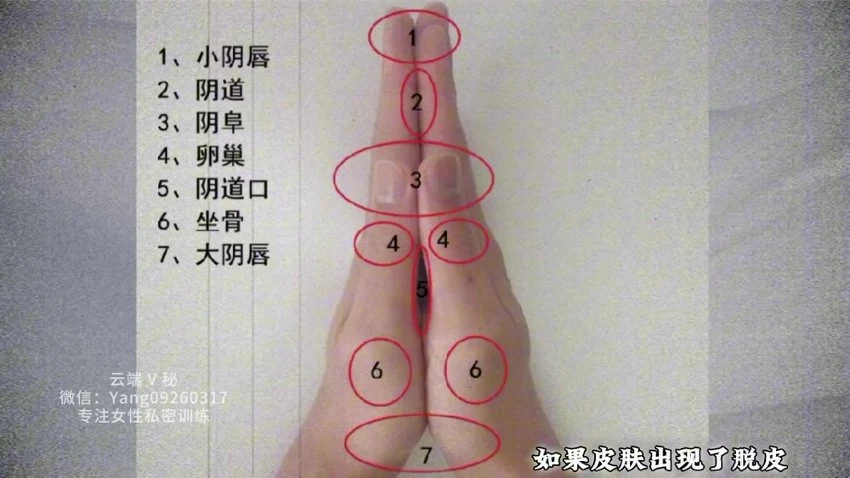 男女私密《男女私密 手诊》视频6集