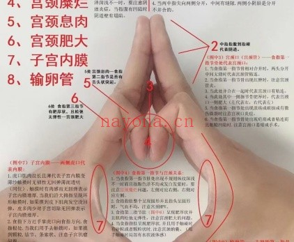 男女私密手诊6集视频 手诊教程