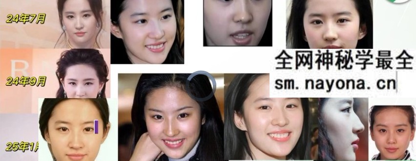 安宁日志《面相美学》中高级全集教学 19集视频+配套课件
