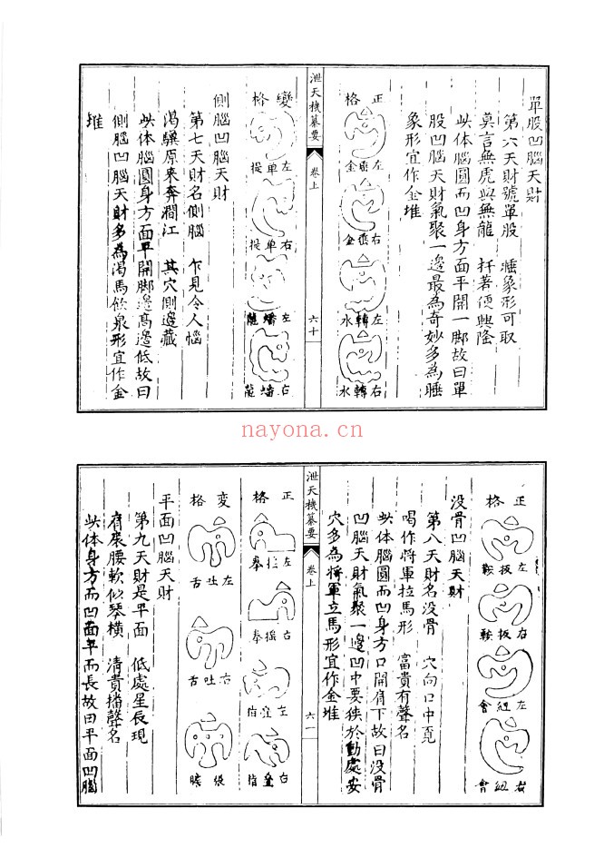 泄天机纂要