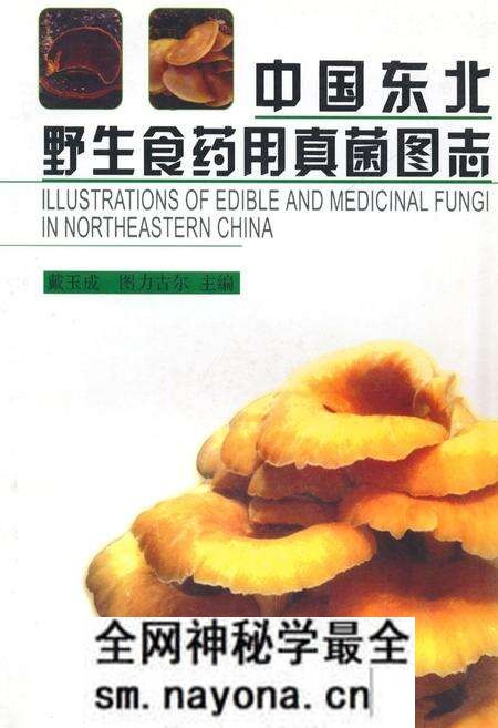 《中国东北野生食药用真菌图志》.pdf电子版_其他志预览图 《中国东北野生食药用真菌图志》.pdf电子版_其他志预览图