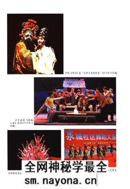 《第十届中国艺术节志 下》.pdf电子版_其他志预览图5