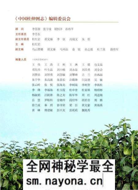 《中国杜仲图志》.pdf电子版_其他志预览图4 《中国杜仲图志》.pdf电子版_其他志预览图4