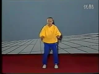 《内劲一指禅》视频4集