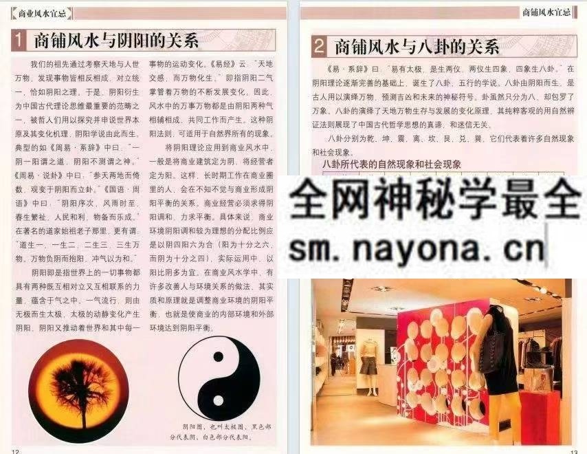 商业风水宜忌王伟光pdf