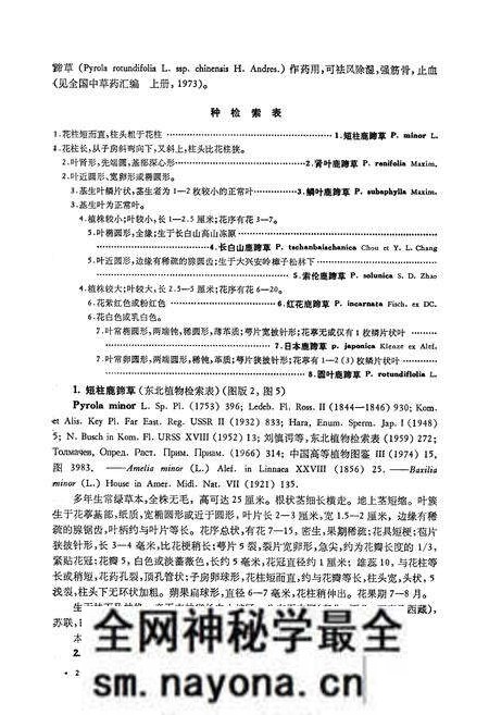 《《东北草本植物志第七卷》》.pdf电子版_其他志预览图4 《《东北草本植物志第七卷》》.pdf电子版_其他志预览图4