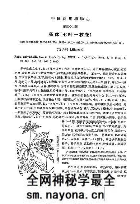 《《中国药用植物志(第七册)》》.pdf电子版_其他志预览图4