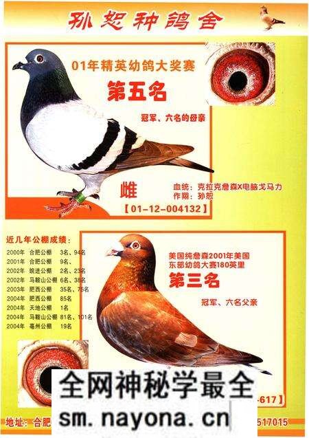 《铭鸽名人志》.pdf电子版_其他志预览图4 《铭鸽名人志》.pdf电子版_其他志预览图4