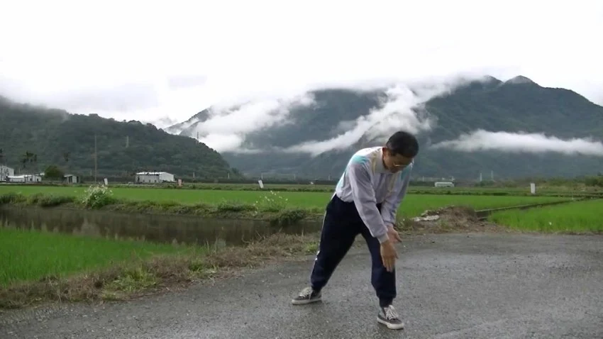 《内劲一指禅》视频4集