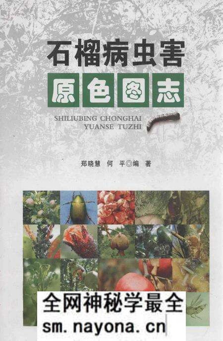 《石榴病虫害原色图志》.pdf电子版_其他志预览图 《石榴病虫害原色图志》.pdf电子版_其他志预览图