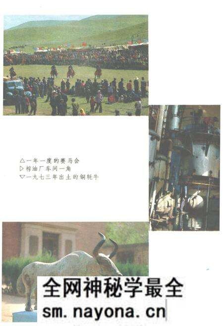 《中国少数民族自治地方概况丛书》.pdf电子版_其他志预览图5