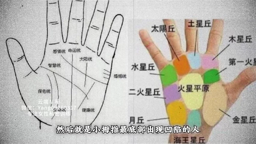 男女私密《男女私密 手诊》视频6集
