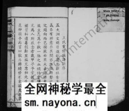 江西王氏族谱-王氏族谱 [卷数不明].pdf电子版预览图1