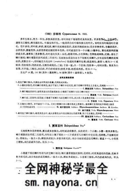 《《东北草本植物志》》.pdf电子版_其他志预览图3