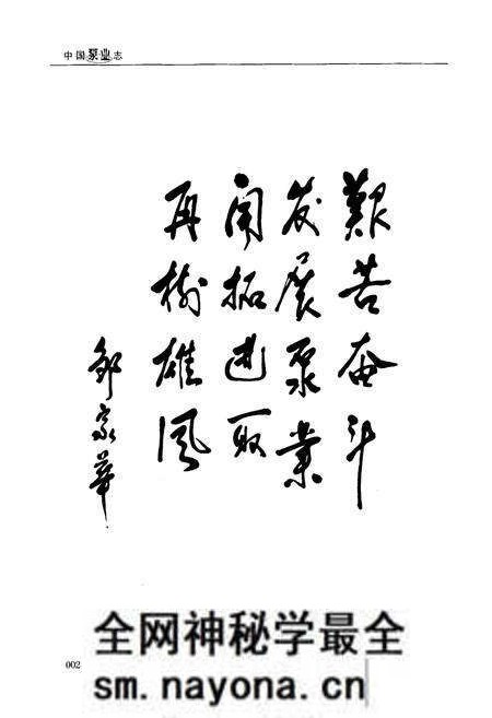 《中国泵业志(1988-2008)》.pdf电子版_其他志预览图4