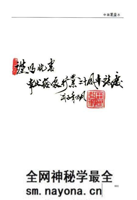 《中国泵业志(1988-2008)》.pdf电子版_其他志预览图3