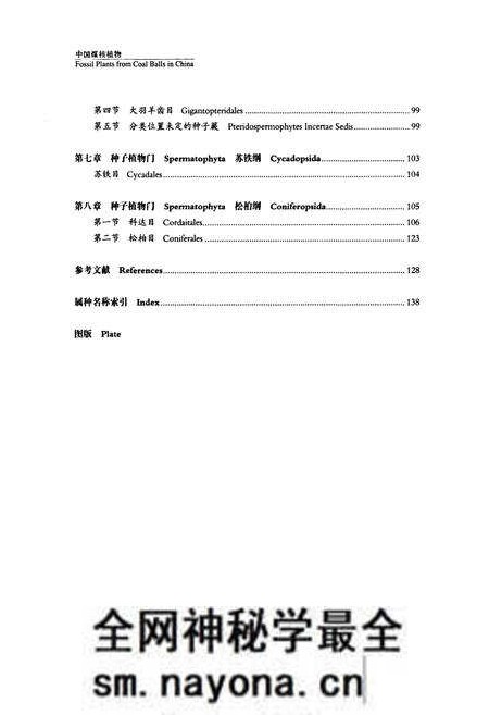 《第一卷中国煤核植物》.pdf电子版_其他志预览图5