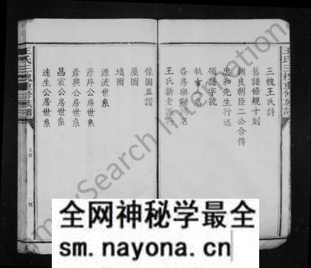江西王氏族谱-王氏族谱 [卷数不明].pdf电子版预览图5