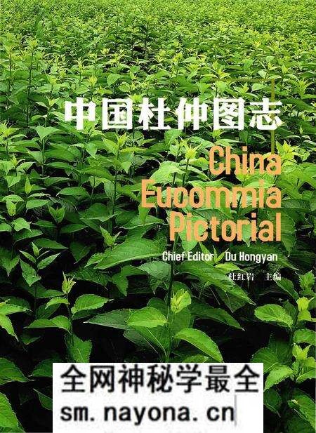 《中国杜仲图志》.pdf电子版_其他志预览图 《中国杜仲图志》.pdf电子版_其他志预览图