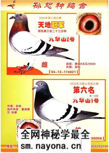 《铭鸽名人志》.pdf电子版_其他志预览图3 《铭鸽名人志》.pdf电子版_其他志预览图3