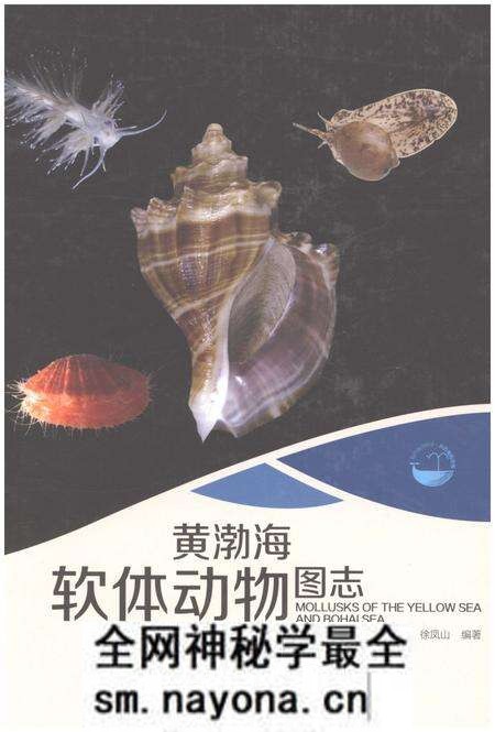 《黄渤海软体动物图志》.pdf电子版_其他志预览图 《黄渤海软体动物图志》.pdf电子版_其他志预览图