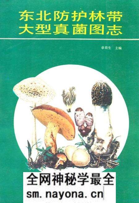 《东北防护林带大型真菌图志》.pdf电子版_其他志预览图 《东北防护林带大型真菌图志》.pdf电子版_其他志预览图