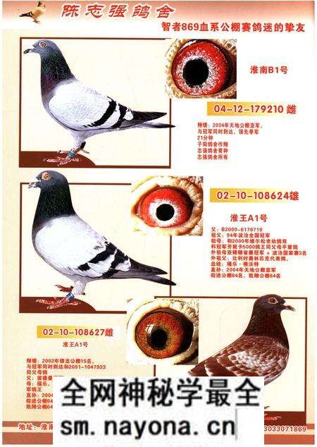 《铭鸽名人志》.pdf电子版_其他志预览图5 《铭鸽名人志》.pdf电子版_其他志预览图5