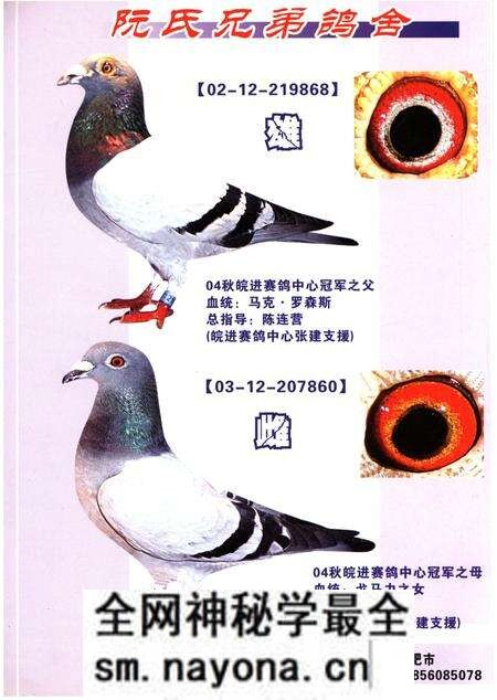 《铭鸽名人志》.pdf电子版_其他志预览图1 《铭鸽名人志》.pdf电子版_其他志预览图1