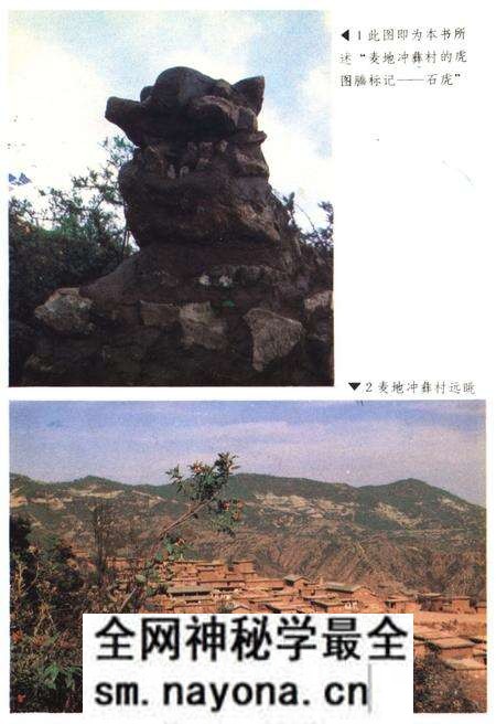 《中国彝族虎文化》.pdf电子版_其他志预览图3 《中国彝族虎文化》.pdf电子版_其他志预览图3