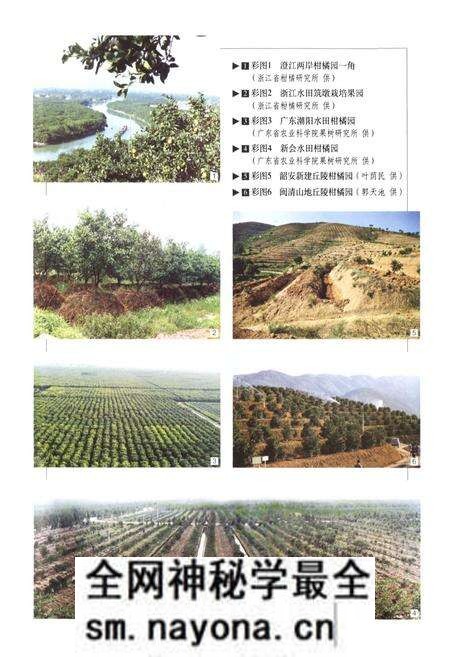 《中国果树志柑橘卷》.pdf电子版_其他志预览图4