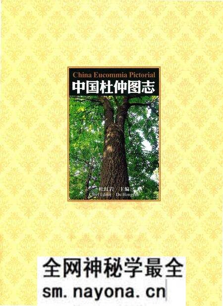 《中国杜仲图志》.pdf电子版_其他志预览图1 《中国杜仲图志》.pdf电子版_其他志预览图1