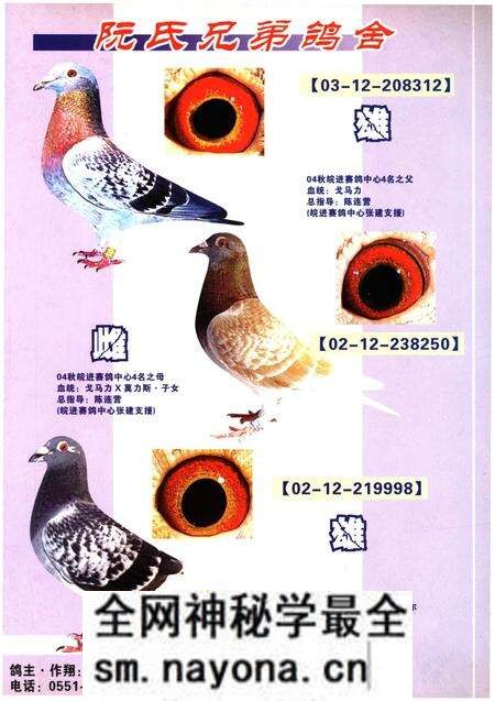 《铭鸽名人志》.pdf电子版_其他志预览图2 《铭鸽名人志》.pdf电子版_其他志预览图2