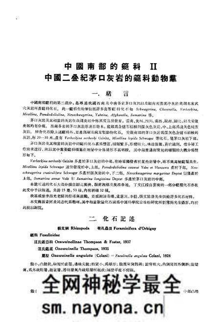 《中国古生物志·中国南部的蜓科Ⅱ中国二叠纪茅口灰岩的蜓科动物羣》.pdf电子版_其他志预览图4 《中国古生物志·中国南部的蜓科Ⅱ中国二叠纪茅口灰岩的蜓科动物羣》.pdf电子版_其他志预览图4
