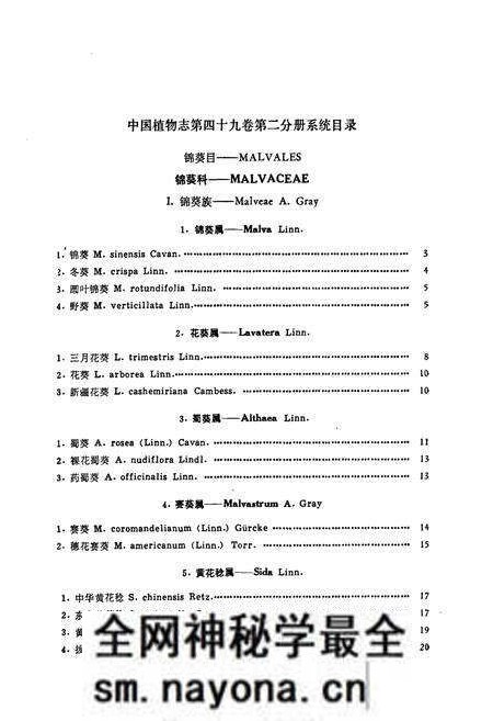 《中国植物志第四十九卷(第二分册)》.pdf电子版_其他志预览图5 《中国植物志第四十九卷(第二分册)》.pdf电子版_其他志预览图5