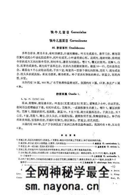 《东北草本植物志(第六卷)》.pdf电子版_其他志预览图4 《东北草本植物志(第六卷)》.pdf电子版_其他志预览图4