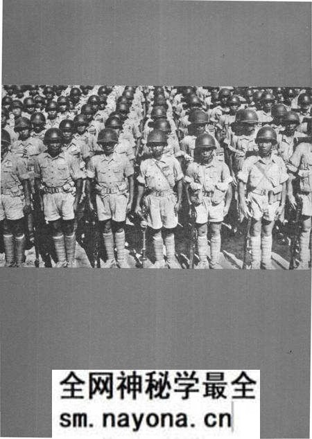 《新一军印缅抗战史实图志》.pdf电子版_其他志预览图4
