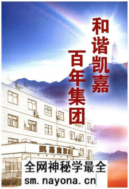 《凯嘉集团志》.pdf电子版_其他志预览图4
