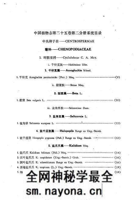 《中国植物志第二十五卷第二分册》.pdf电子版_其他志预览图5 《中国植物志第二十五卷第二分册》.pdf电子版_其他志预览图5