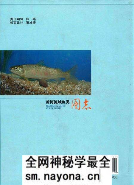 《黄河流域鱼类图志》.pdf电子版_其他志预览图2 《黄河流域鱼类图志》.pdf电子版_其他志预览图2