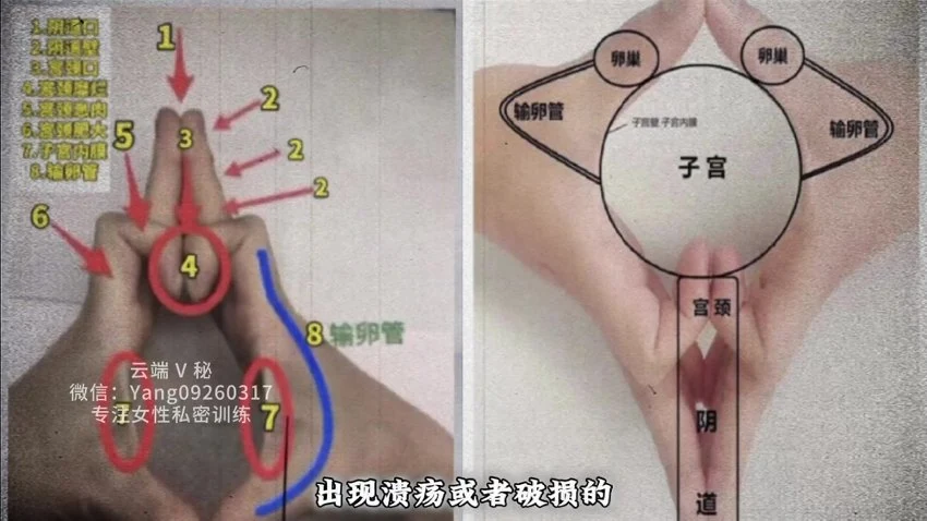 男女私密《男女私密 手诊》视频6集