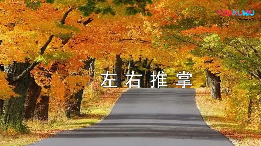 《内劲一指禅》视频4集