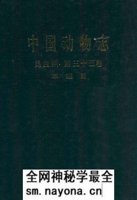 《中国动物志昆虫纲 第三十五卷 革翅目》.pdf电子版_其他志预览图 《中国动物志昆虫纲 第三十五卷 革翅目》.pdf电子版_其他志预览图