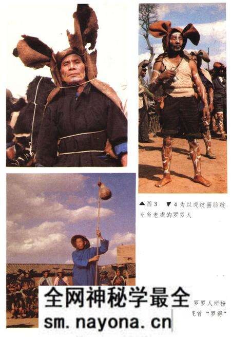 《中国彝族虎文化》.pdf电子版_其他志预览图4 《中国彝族虎文化》.pdf电子版_其他志预览图4