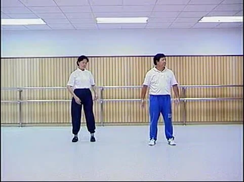 《内劲一指禅》视频4集