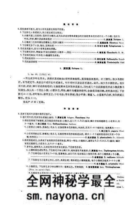 《《东北草本植物志》》.pdf电子版_其他志预览图4