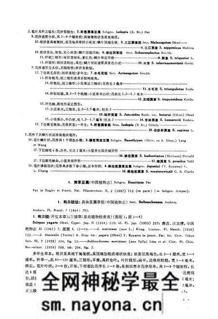 《《东北草本植物志》》.pdf电子版_其他志预览图5