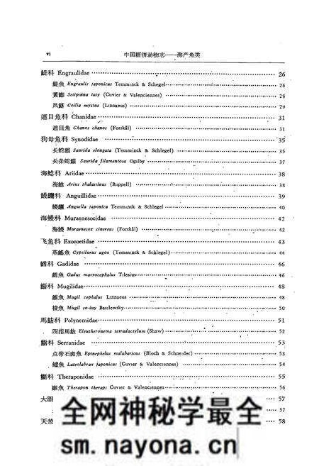 《《中国经济动物志·海产魚类》》.pdf电子版_其他志预览图4 《《中国经济动物志·海产魚类》》.pdf电子版_其他志预览图4