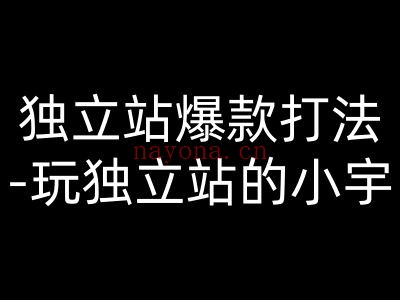 独立站爆款打法-玩独立站的小宇跨境电商教程打包下载