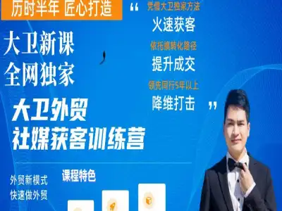 外贸社媒获客训练营-大卫外贸跨境电商教程打包下载2月2026