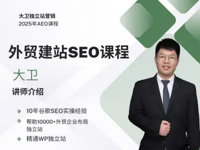 B2B外贸独立站建站+谷歌SEO-大为独立站营销2025